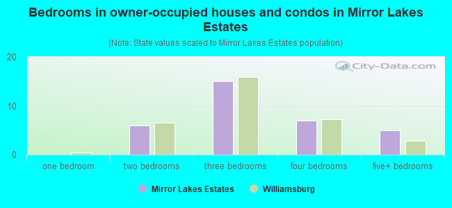 Bedrooms in owner-occupied houses and condos in Mirror Lakes Estates