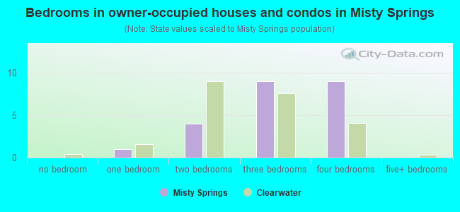 Bedrooms in owner-occupied houses and condos in Misty Springs