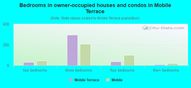 Bedrooms in owner-occupied houses and condos in Mobile Terrace