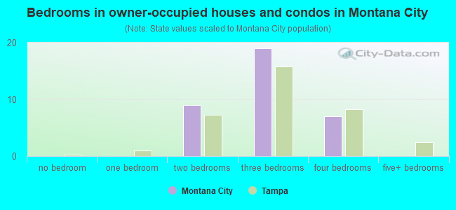 Bedrooms in owner-occupied houses and condos in Montana City