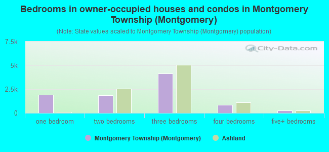 Bedrooms in owner-occupied houses and condos in Montgomery Township (Montgomery)