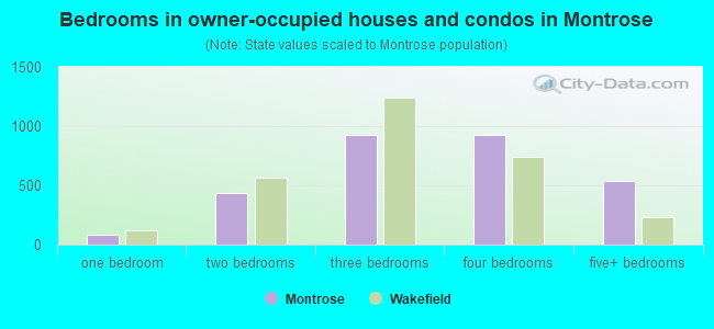 Bedrooms in owner-occupied houses and condos in Montrose