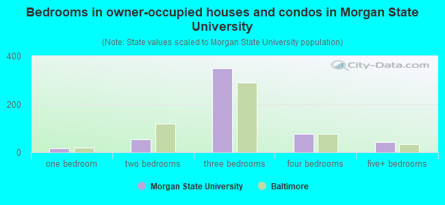 Bedrooms in owner-occupied houses and condos in Morgan State University