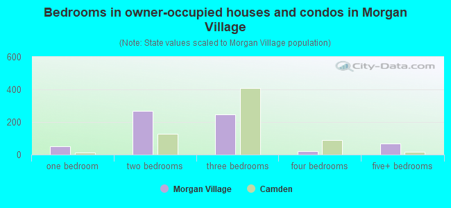 Bedrooms in owner-occupied houses and condos in Morgan Village