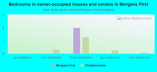 Bedrooms in owner-occupied houses and condos in Morgans First