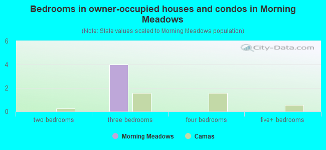 Bedrooms in owner-occupied houses and condos in Morning Meadows