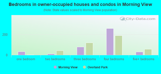 Bedrooms in owner-occupied houses and condos in Morning View