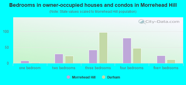 Bedrooms in owner-occupied houses and condos in Morrehead Hill