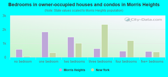Bedrooms in owner-occupied houses and condos in Morris Heights