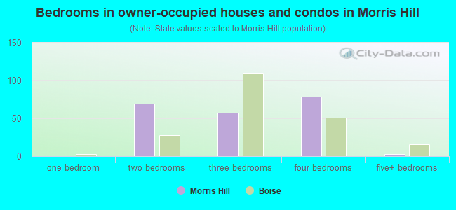 Bedrooms in owner-occupied houses and condos in Morris Hill
