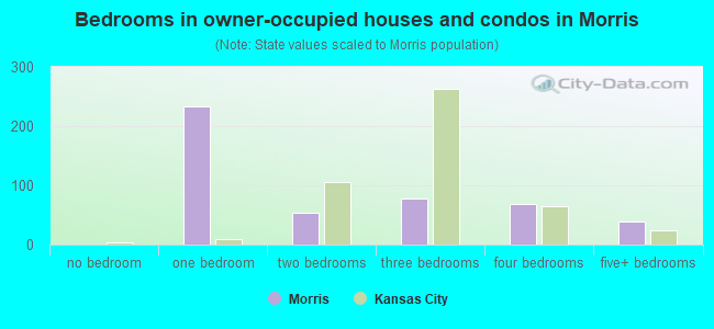 Bedrooms in owner-occupied houses and condos in Morris