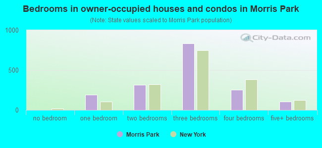 Bedrooms in owner-occupied houses and condos in Morris Park