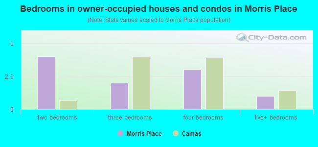 Bedrooms in owner-occupied houses and condos in Morris Place
