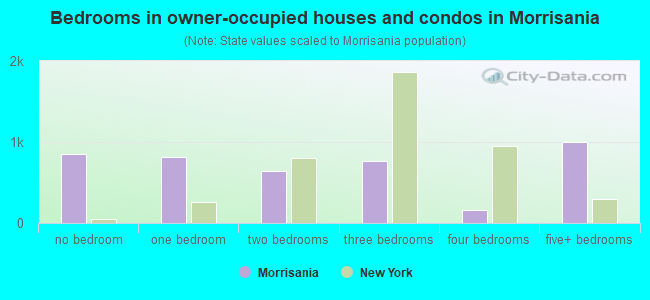 Bedrooms in owner-occupied houses and condos in Morrisania