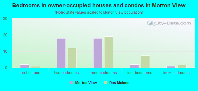 Bedrooms in owner-occupied houses and condos in Morton View