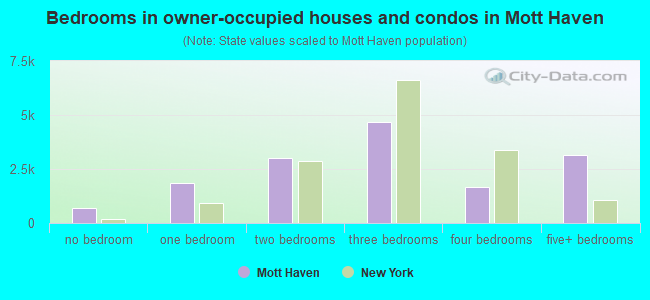 Bedrooms in owner-occupied houses and condos in Mott Haven