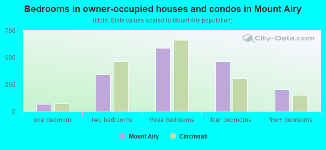 Bedrooms in owner-occupied houses and condos in Mount Airy
