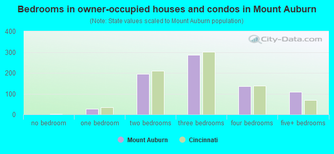 Bedrooms in owner-occupied houses and condos in Mount Auburn