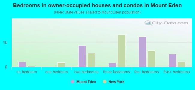 Bedrooms in owner-occupied houses and condos in Mount Eden