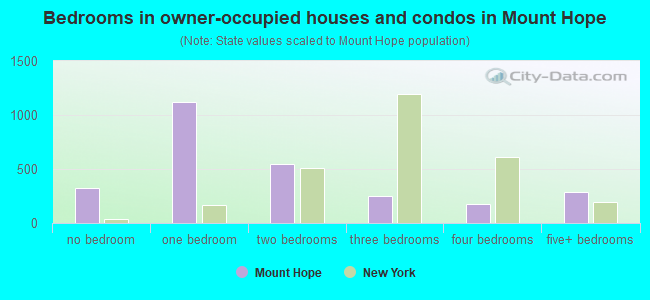 Bedrooms in owner-occupied houses and condos in Mount Hope