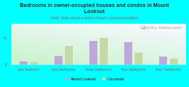Bedrooms in owner-occupied houses and condos in Mount Lookout