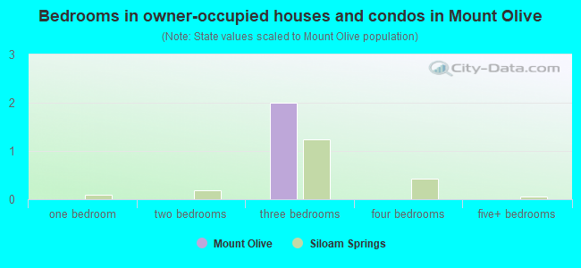 Bedrooms in owner-occupied houses and condos in Mount Olive