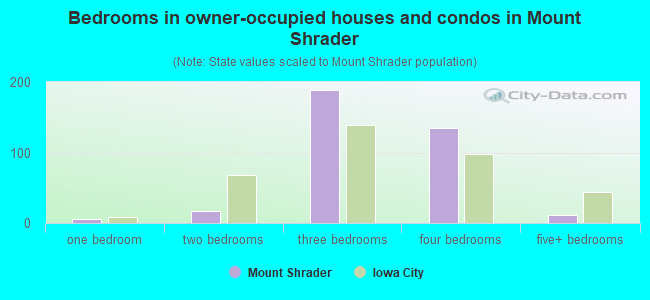 Bedrooms in owner-occupied houses and condos in Mount Shrader