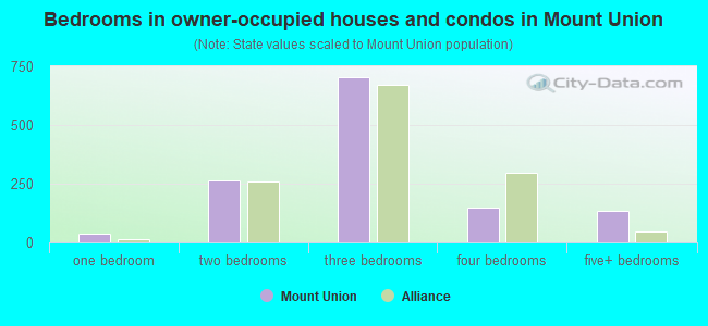 Bedrooms in owner-occupied houses and condos in Mount Union