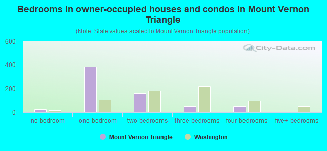 Bedrooms in owner-occupied houses and condos in Mount Vernon Triangle