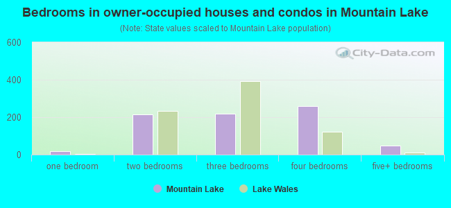 Bedrooms in owner-occupied houses and condos in Mountain Lake