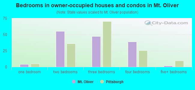 Bedrooms in owner-occupied houses and condos in Mt. Oliver