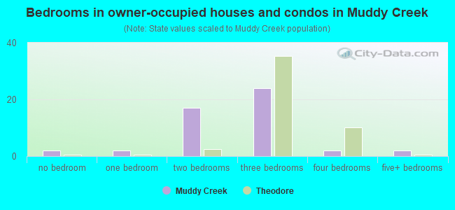 Bedrooms in owner-occupied houses and condos in Muddy Creek