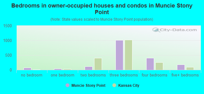 Bedrooms in owner-occupied houses and condos in Muncie Stony Point