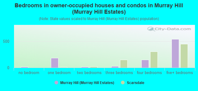 Bedrooms in owner-occupied houses and condos in Murray Hill (Murray Hill Estates)