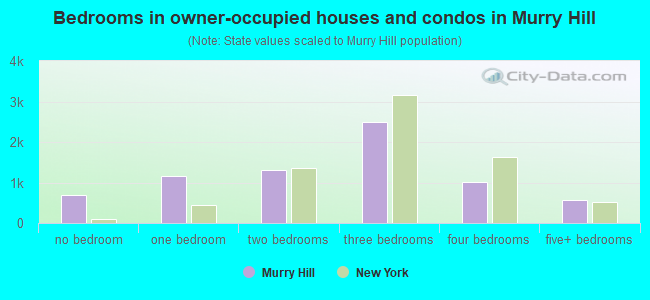 Bedrooms in owner-occupied houses and condos in Murry Hill