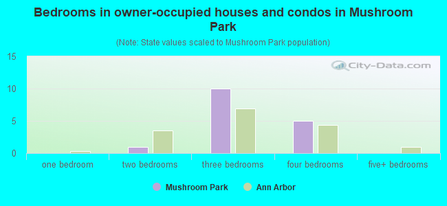 Bedrooms in owner-occupied houses and condos in Mushroom Park
