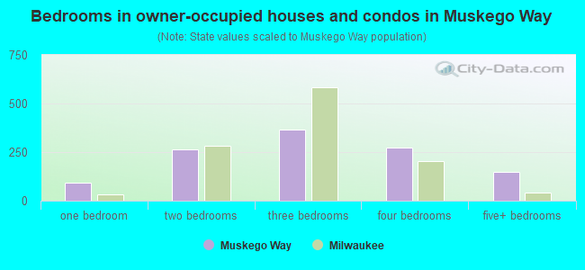 Bedrooms in owner-occupied houses and condos in Muskego Way