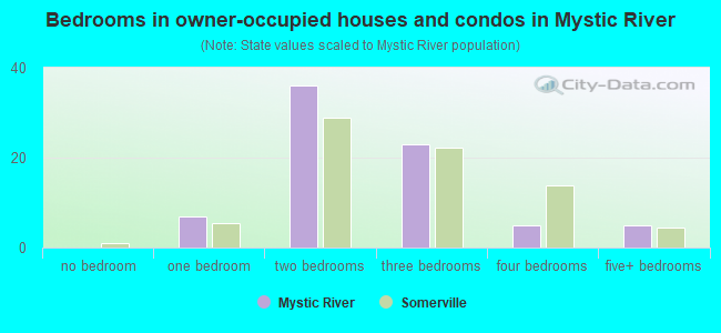 Bedrooms in owner-occupied houses and condos in Mystic River