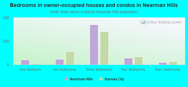 Bedrooms in owner-occupied houses and condos in Nearman Hills