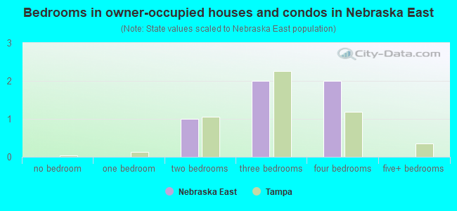 Bedrooms in owner-occupied houses and condos in Nebraska East