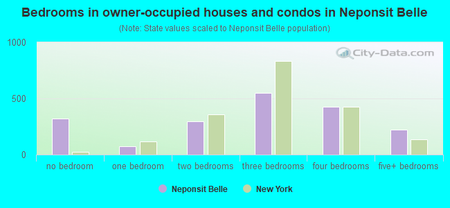 Bedrooms in owner-occupied houses and condos in Neponsit  Belle