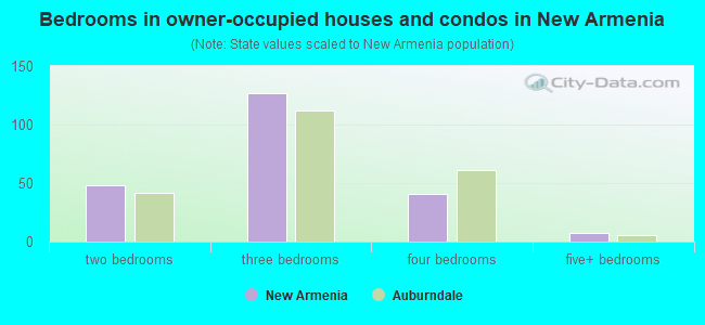Bedrooms in owner-occupied houses and condos in New Armenia