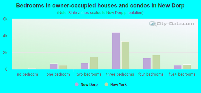 Bedrooms in owner-occupied houses and condos in New Dorp