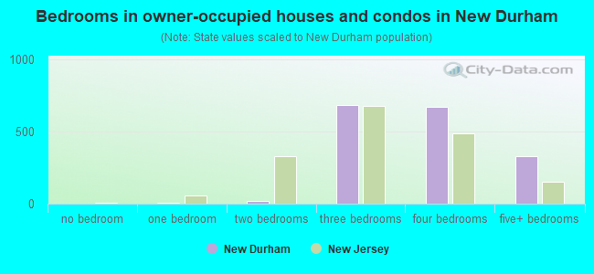 Bedrooms in owner-occupied houses and condos in New Durham