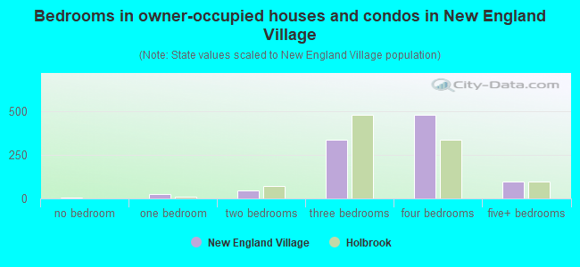 Bedrooms in owner-occupied houses and condos in New England Village