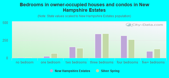 Bedrooms in owner-occupied houses and condos in New Hampshire Estates
