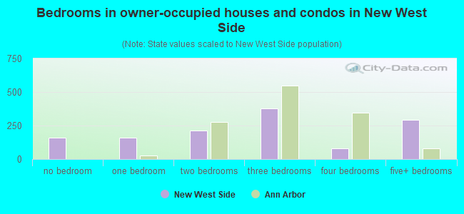 Bedrooms in owner-occupied houses and condos in New West Side