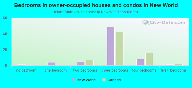 Bedrooms in owner-occupied houses and condos in New World