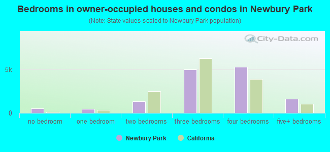 Bedrooms in owner-occupied houses and condos in Newbury Park