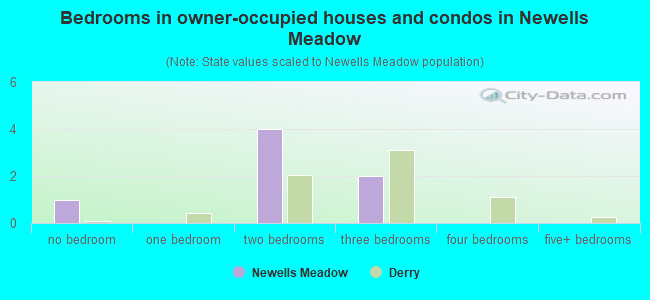 Bedrooms in owner-occupied houses and condos in Newells Meadow
